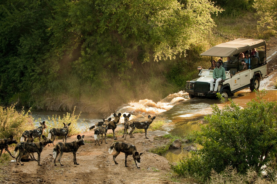 bambini al safari