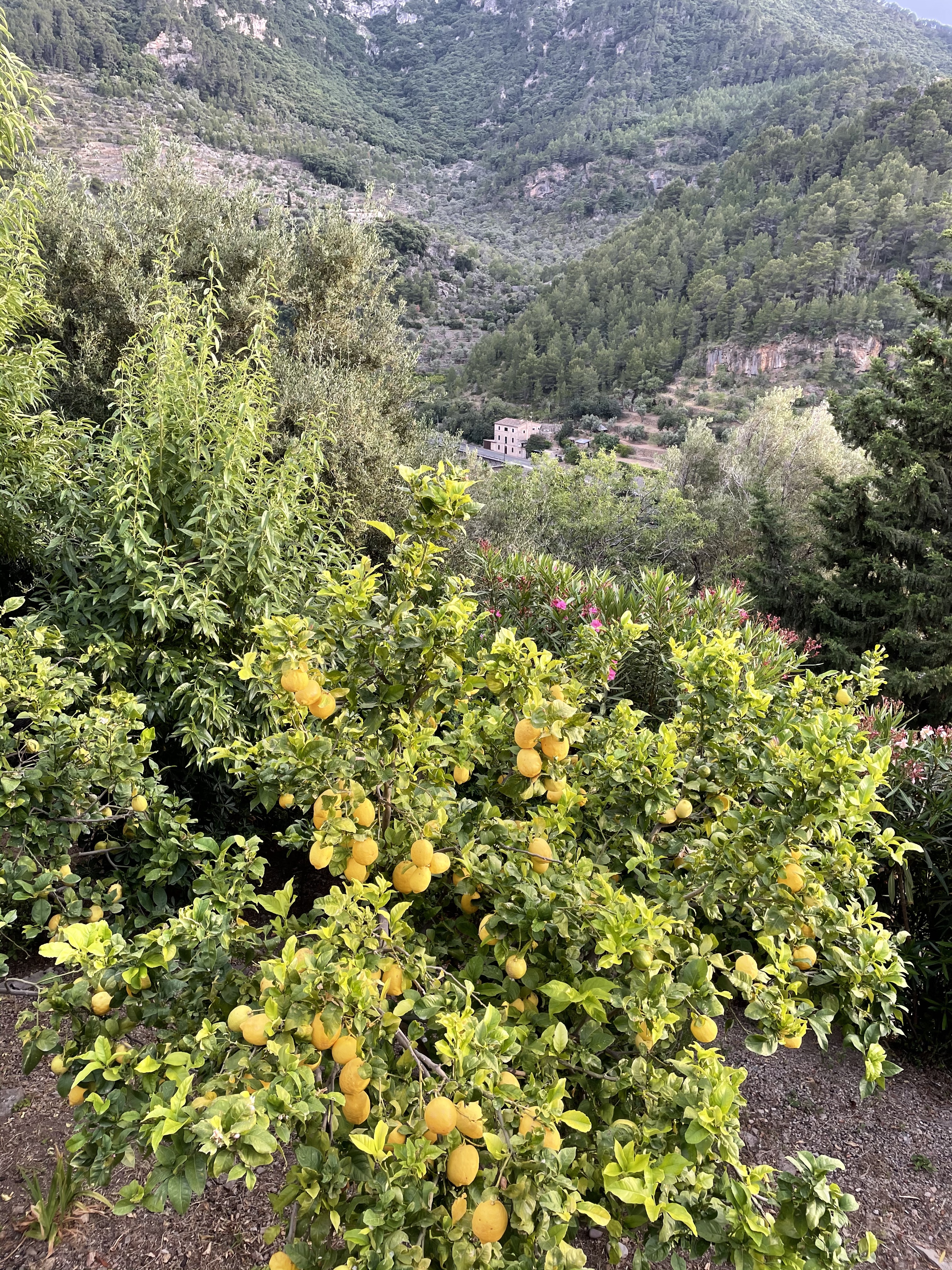 Beautiful village of Deai - Just minutes from Belmond La Residencia