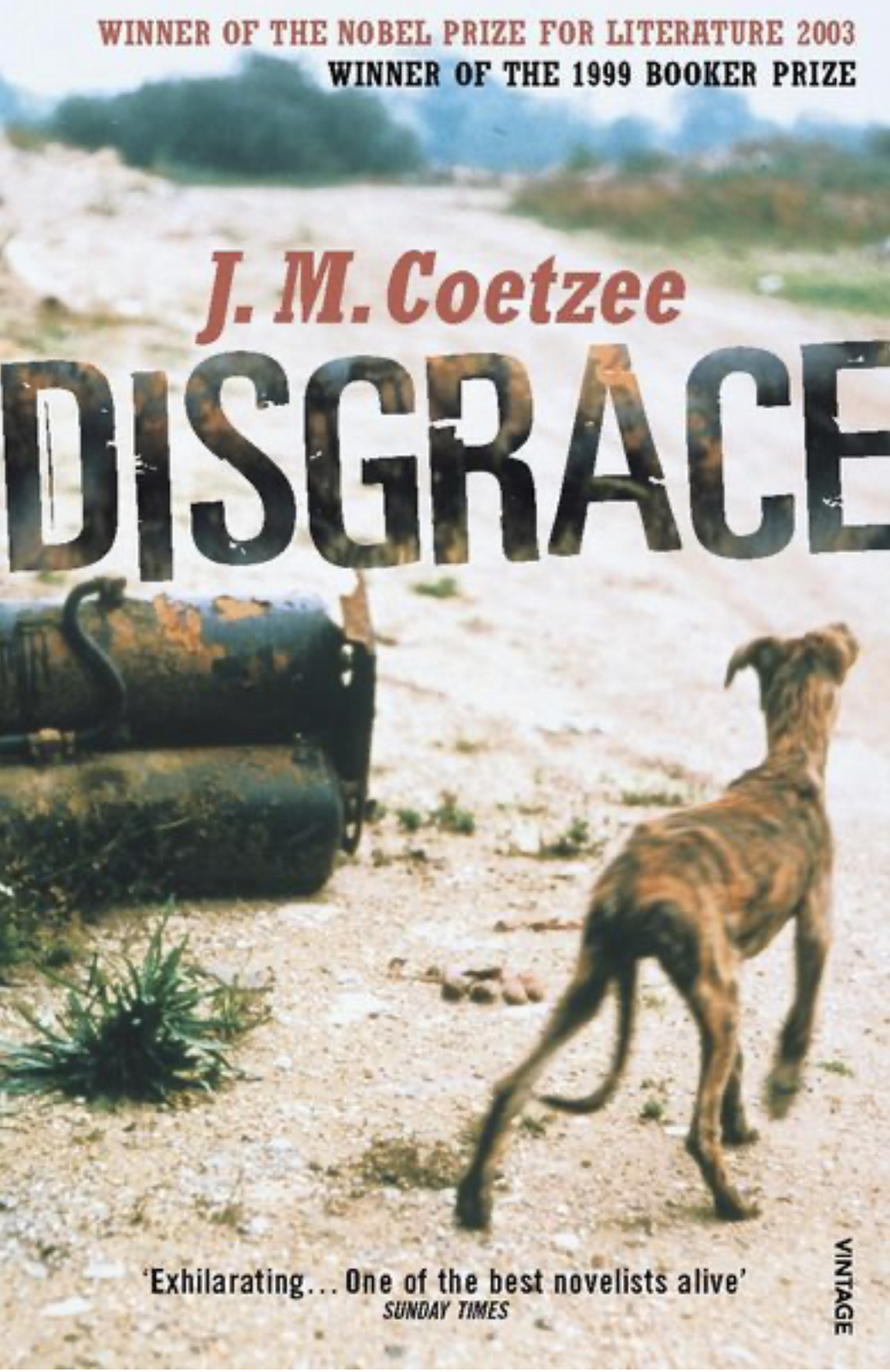 Disgrace, by J.M. Coetzee - This book asks difficult questions about its characters and South Africa