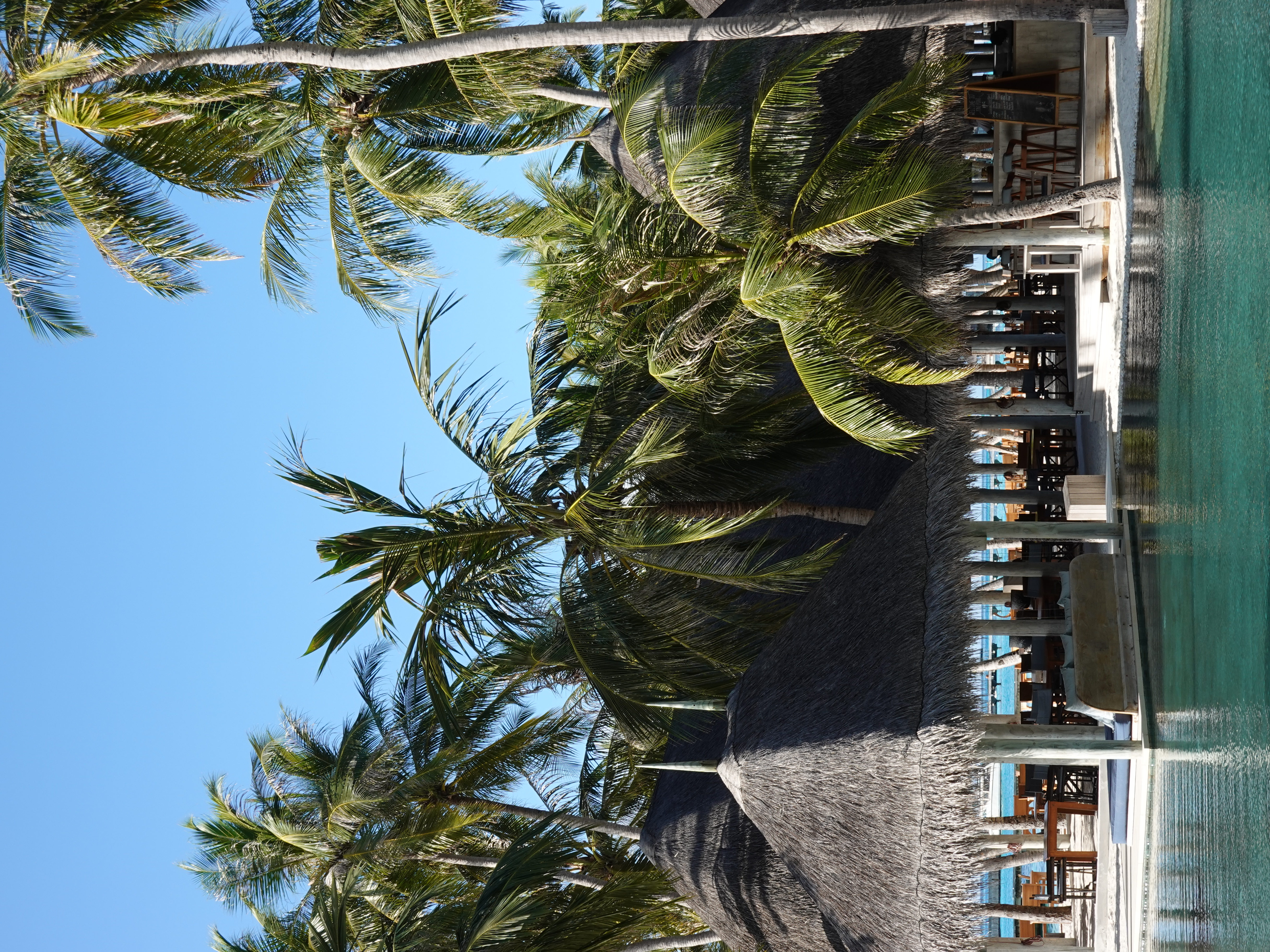 The pool at Gili Lankanfushi, Maldives.