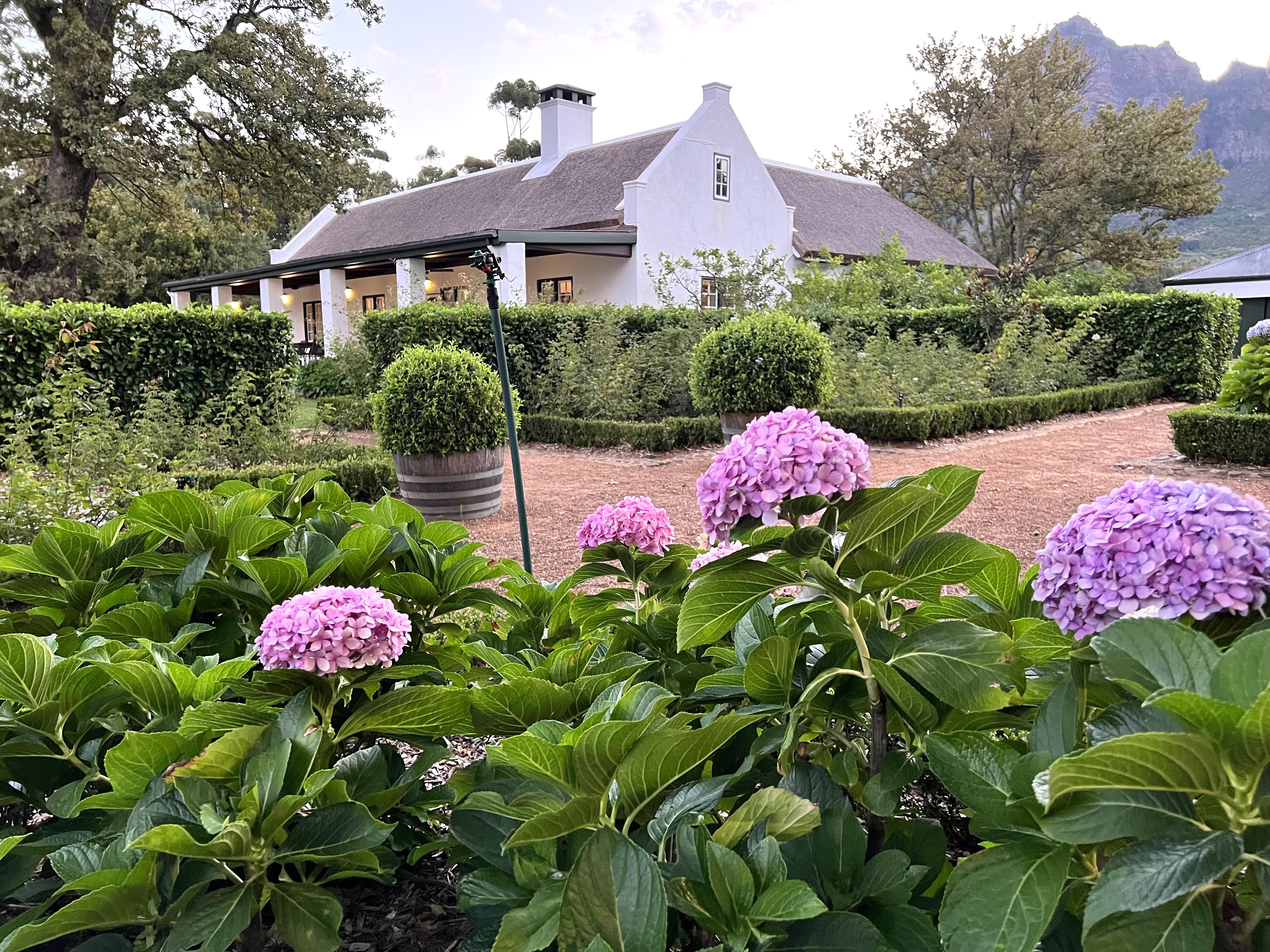 Cottage 1685, Boschendal