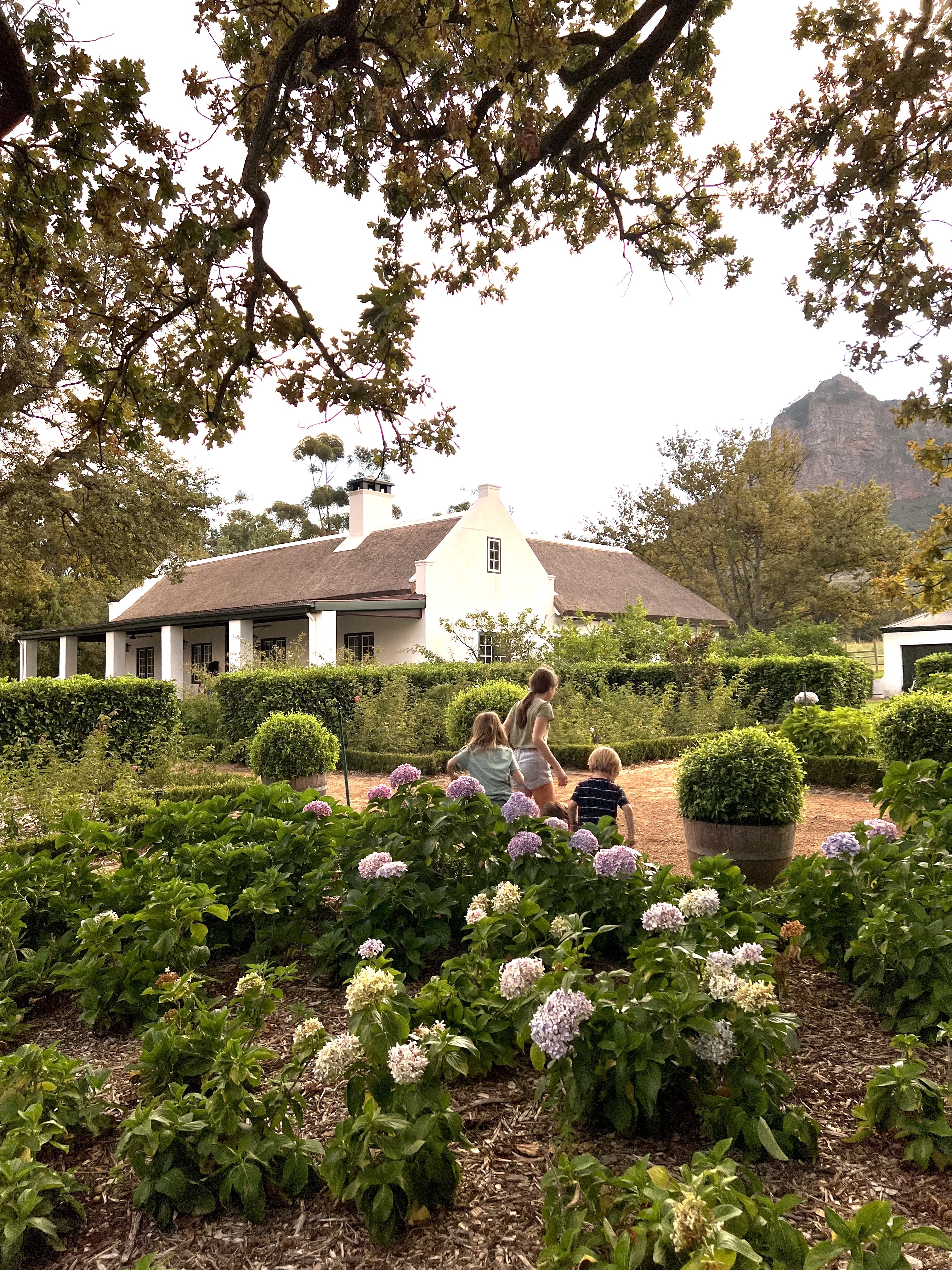 Our children playing Hide & Seek at Cottage 16985, Boschendal