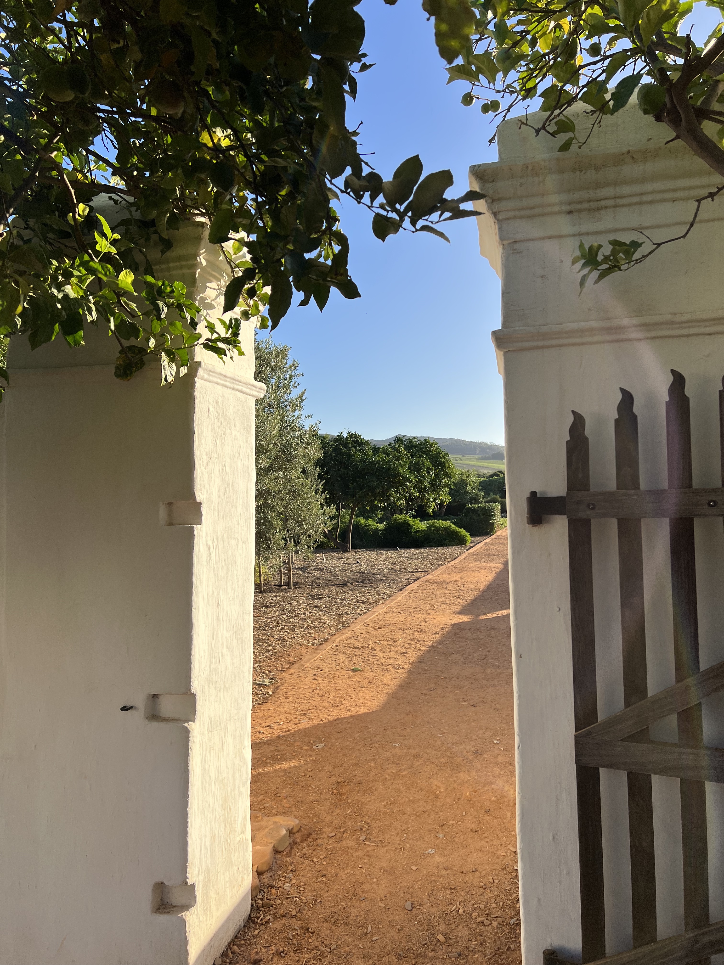 The grounds at Babylonstoren