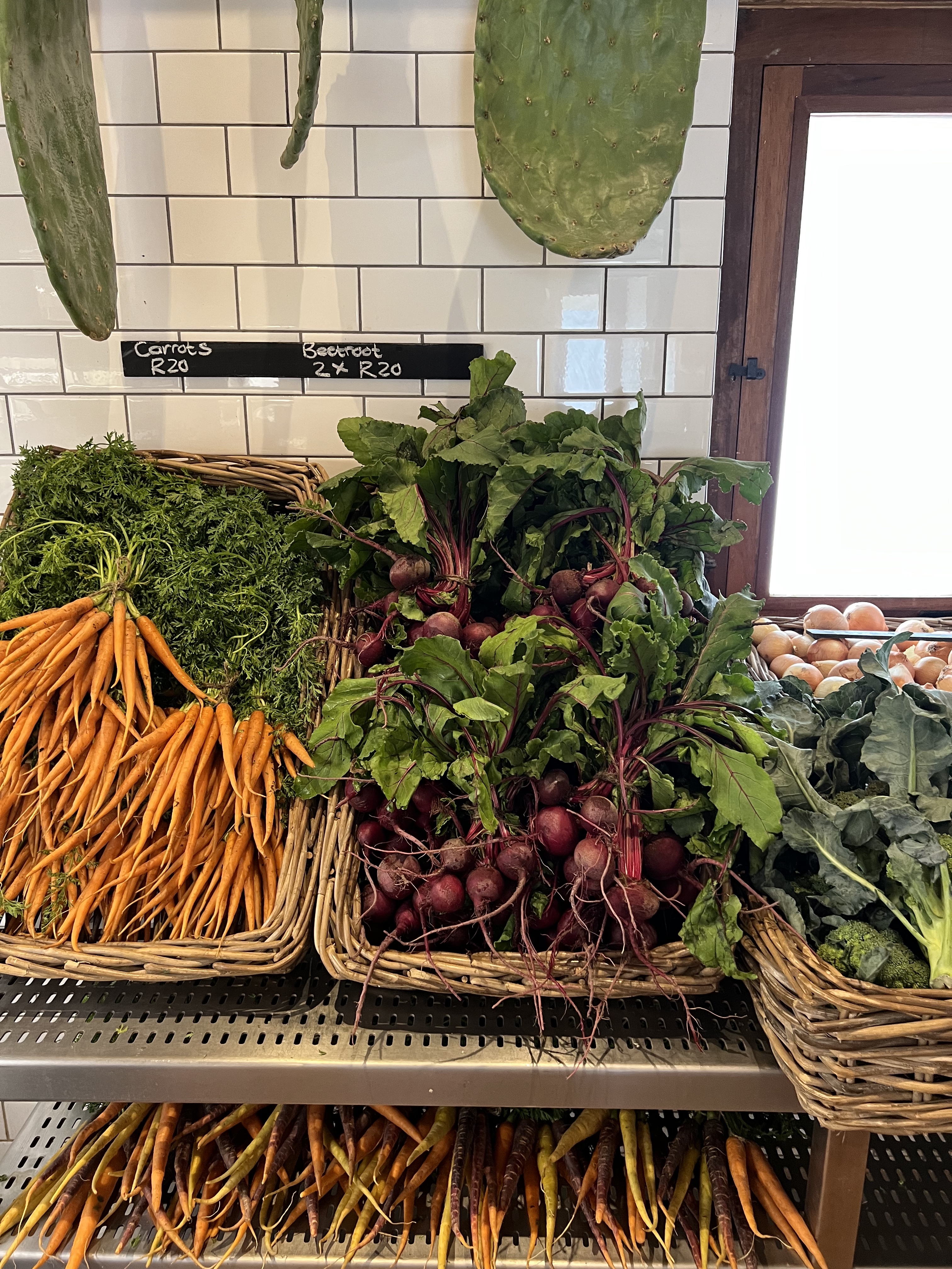 The vegetables from Babylonstoren gardens 