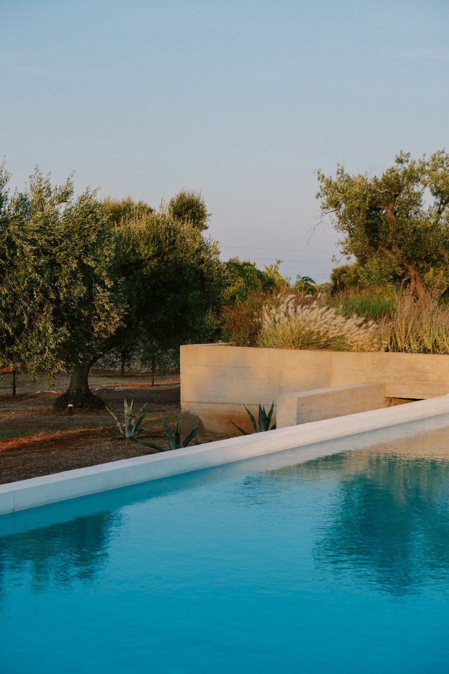 Puglia's famous Masseria Morosetta  // Photo by Lucy Mason