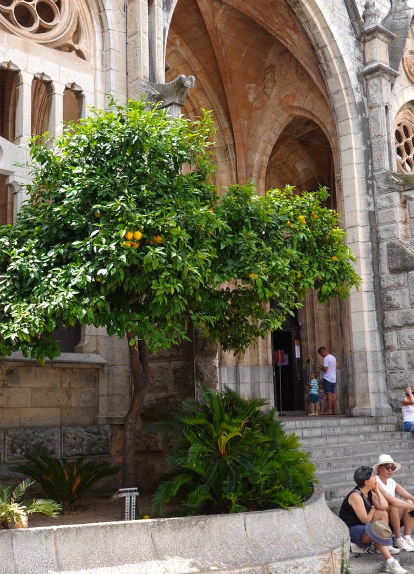 Top 10 Things to Do in Soller and Surrounding Area - The Other