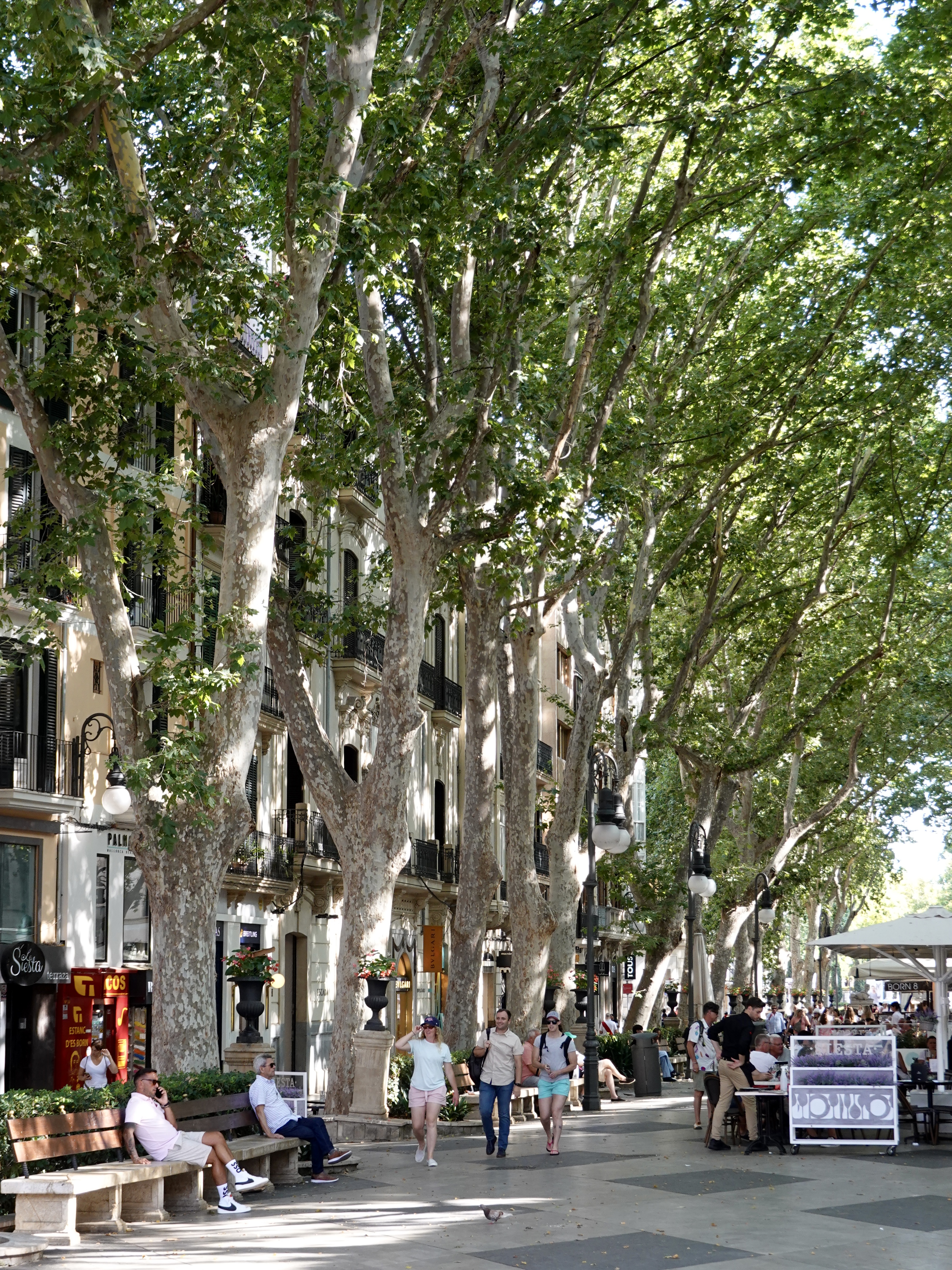 Beautiful streets of Palma de Mallorca