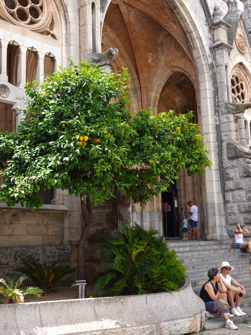 Sant Bartomeu, Soller