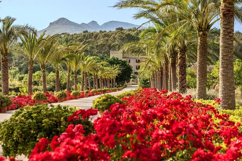 The entrance to Castell Son Claret is rather impressive. Photo Credit Castell Son Claret