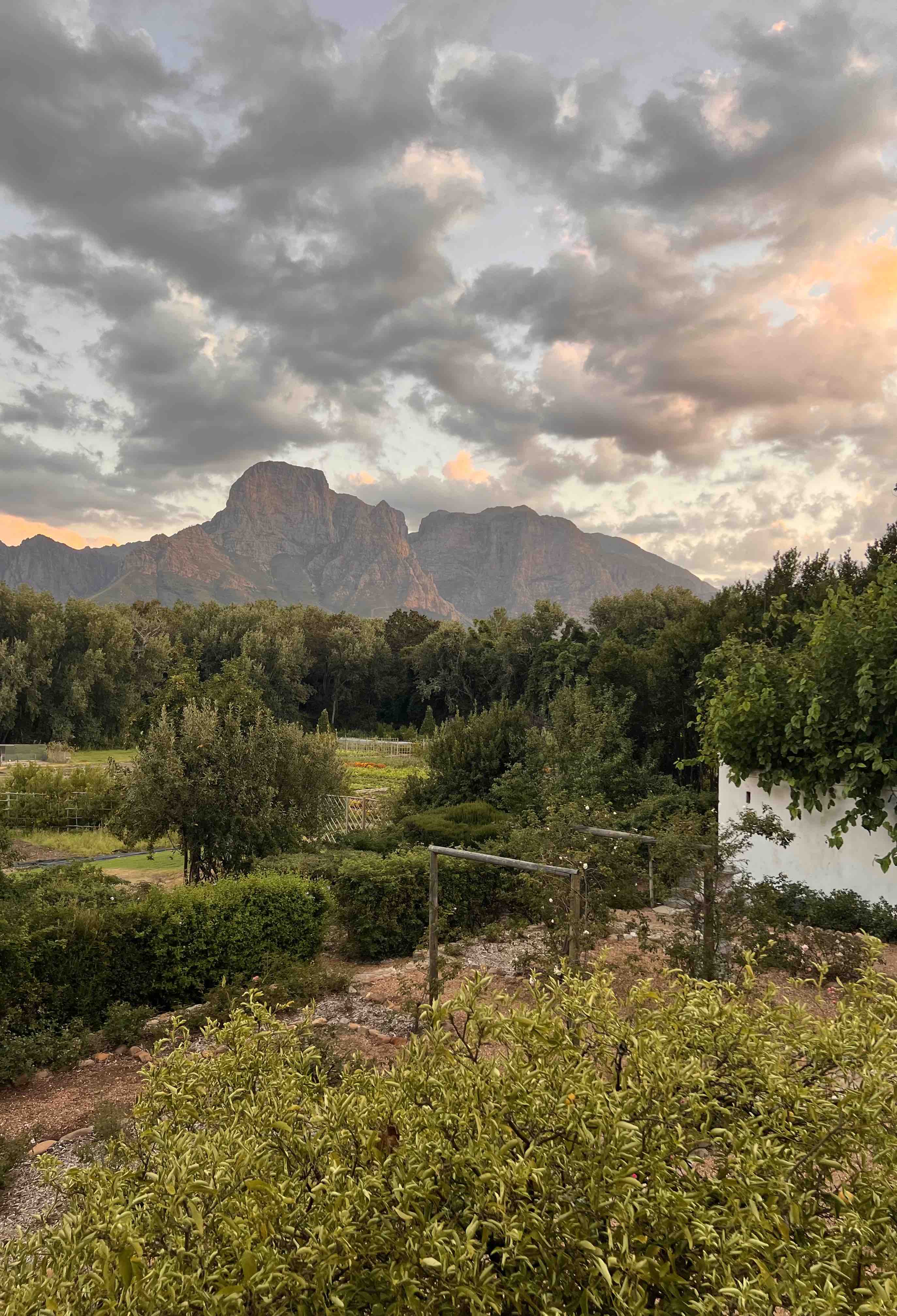 It is worth visiting the Werf, not only for its food but also to experience the Boschendal Estate.