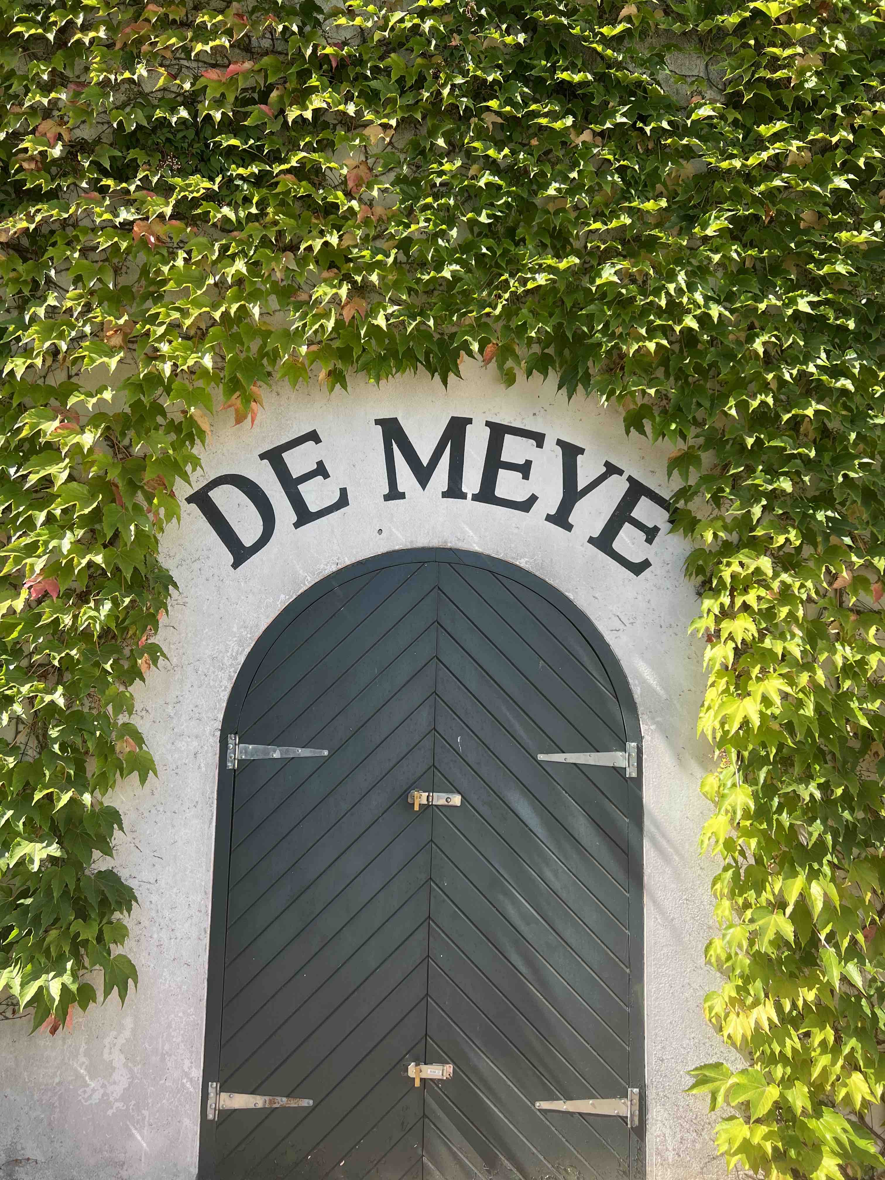 At de Meye you will eat on big tables under the shade of nearby oaks in a very familiar atmosphere.