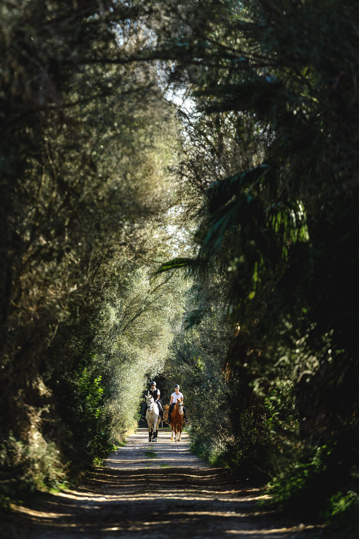 Sa Bassa Rotja - a great budget but beautiful hotel in the South-West of Mallorca for families who appreciate nature // Photo Credit Sa Bassa Rotja