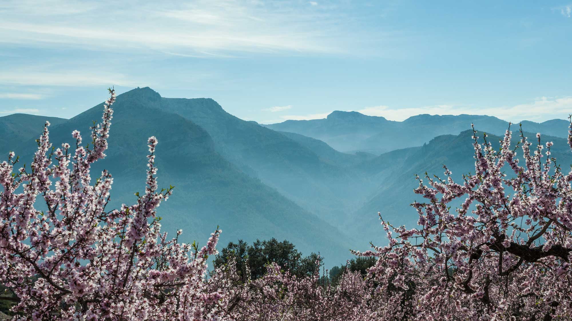 Finca Binibona and the stunning nature around it // Photo Credit Finca Binibona