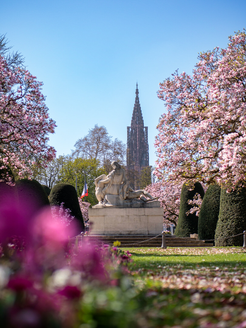 Place de la République in bloom by @travelwithadrien