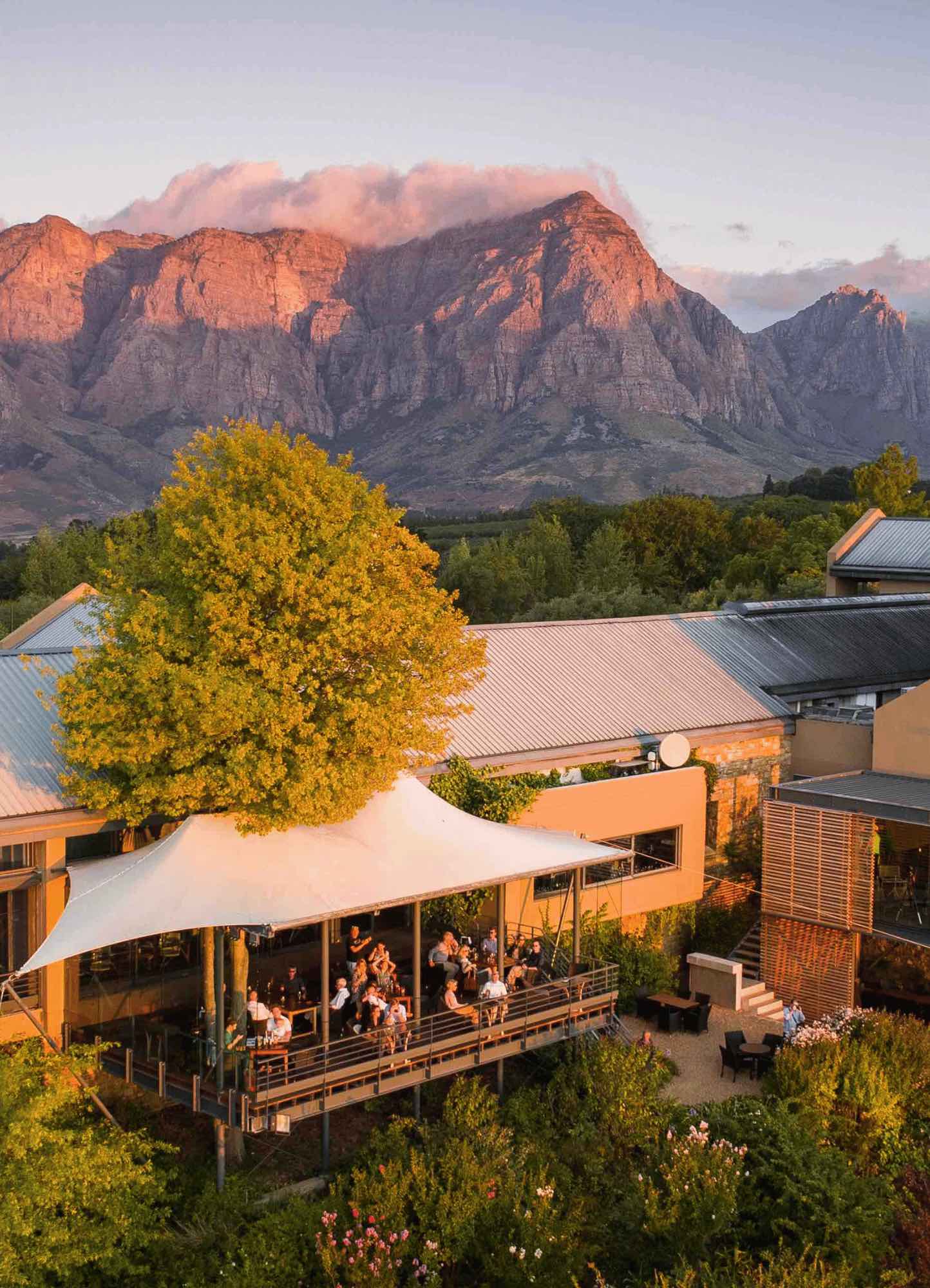 Both the views and the food at Tokara restaurant in Cape Winelands are incredible. Photo Credit Tokara restaurant.