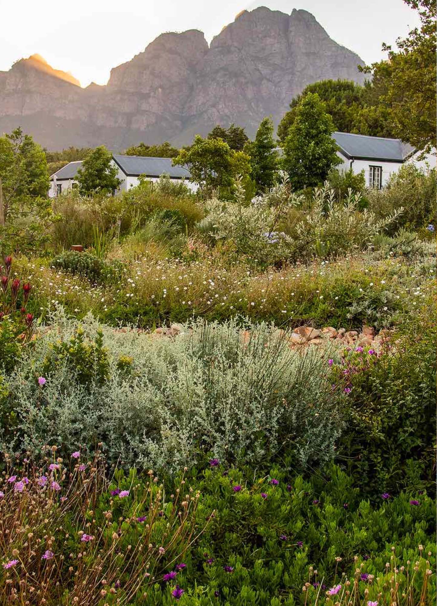 Stellenbosch Best Hotels & Accommodation. Photo by Boschendal