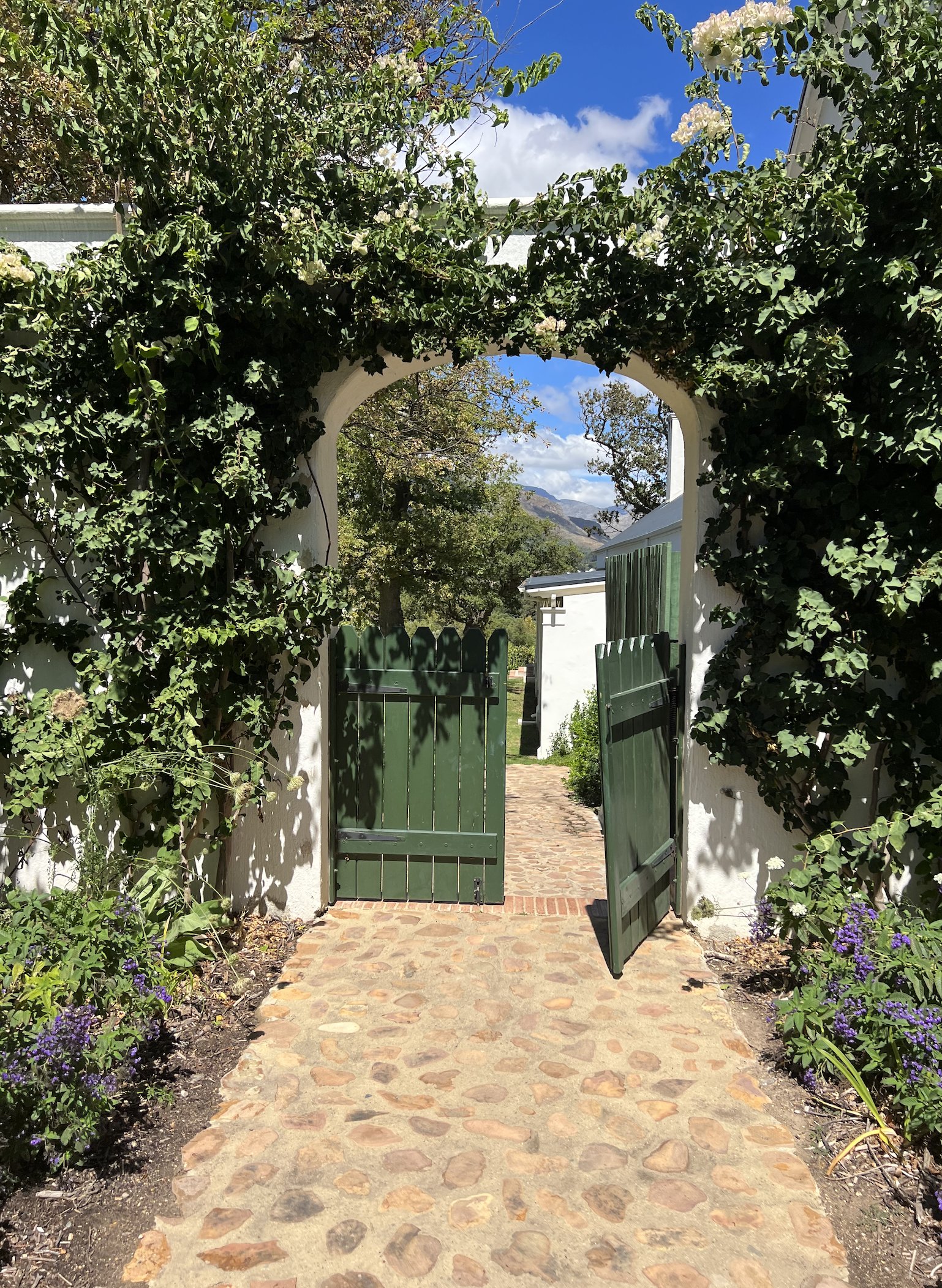 La Cotte is a perfect boutique hotel option in Franschhoek for those who do not want to spend too much on accommodation.