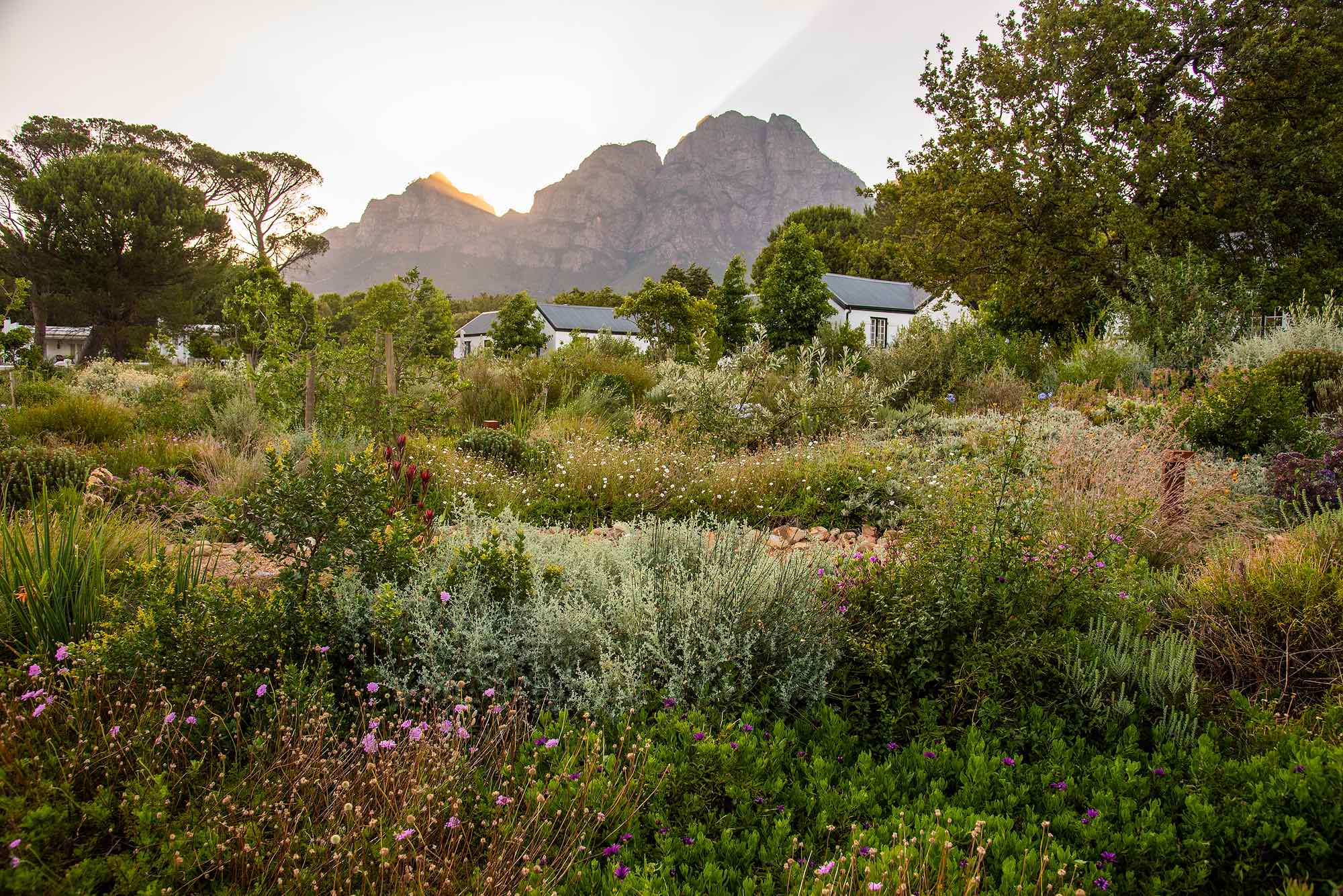 Boschendal offers a wide range of accommodation options - from boutique hotel to self-catering. Photo by Boschendal