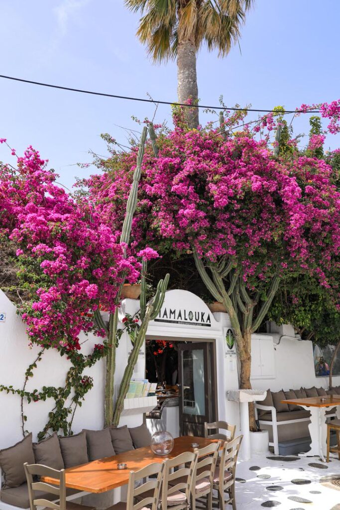 In this Mykonos Guide, we cover the best restaurants & bars as well as things to do, and all the logistics necessary to make this an unforgettable experience